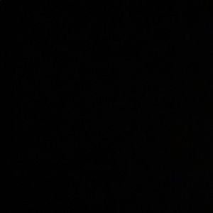 Meet your Posher, Angelica